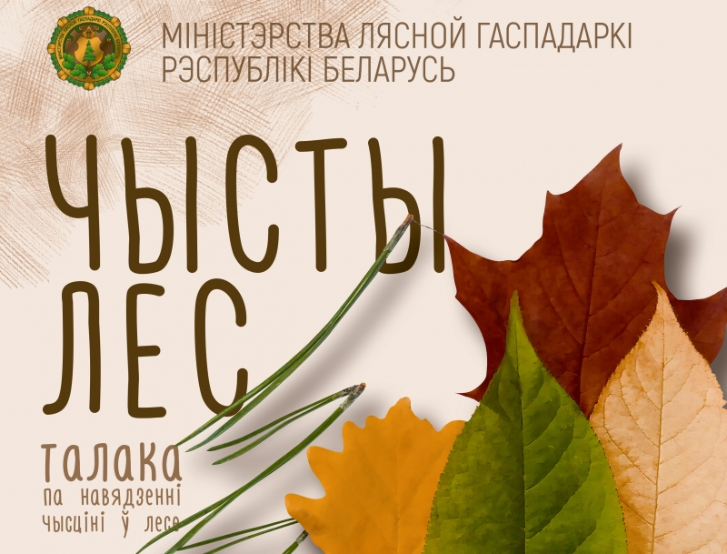 9 октября 2021 года - добровольная акция «Чистый лес»!
