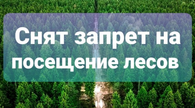 Снят запрет на посещение лесов Минского и Дзержинского районов