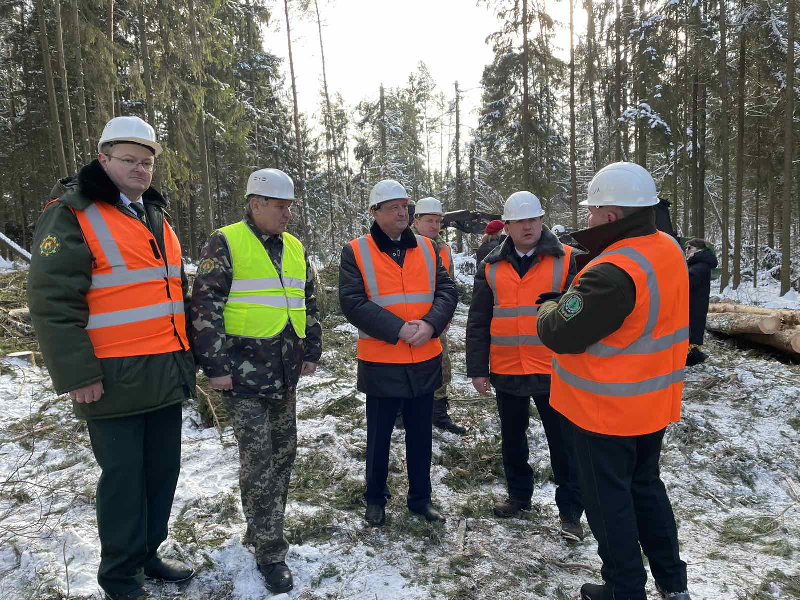 Ход разработки ветровально-буреломных лесосек в Минском лесхозе