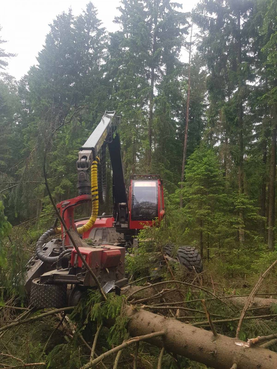 Продолжается разработка пострадавших от буреломов участков лесного фонда Дзержинского района