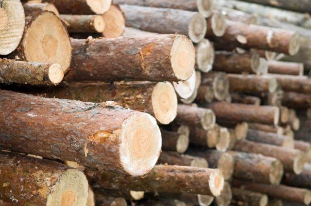 Минский лесхоз реализует дрова