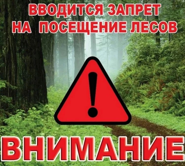 Запрет на посещение лесов Минского и Дзержинского районов