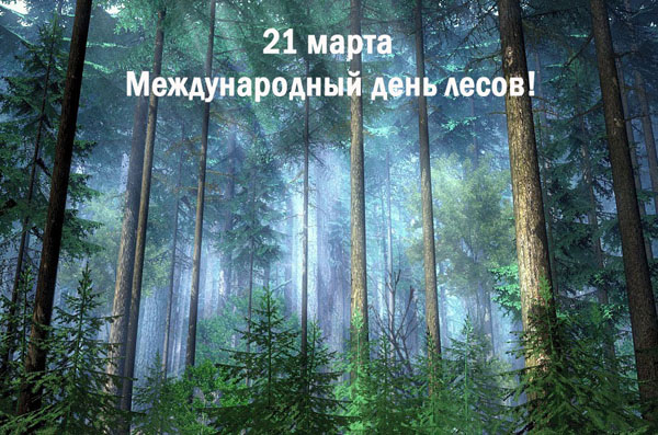 21 марта - Международный день лесов