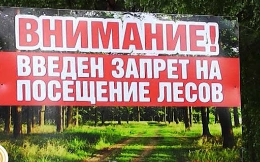Запрет на посещение лесов Дзержинского района