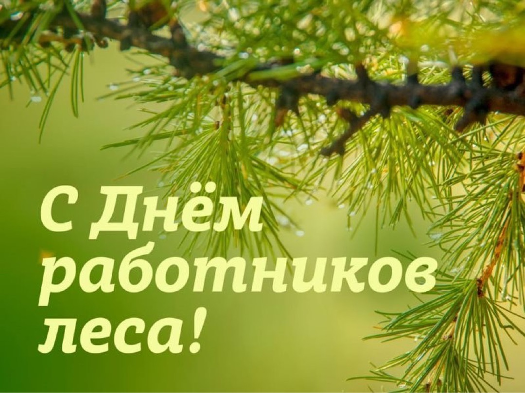 Поздравляем Вас с Днём работников леса!