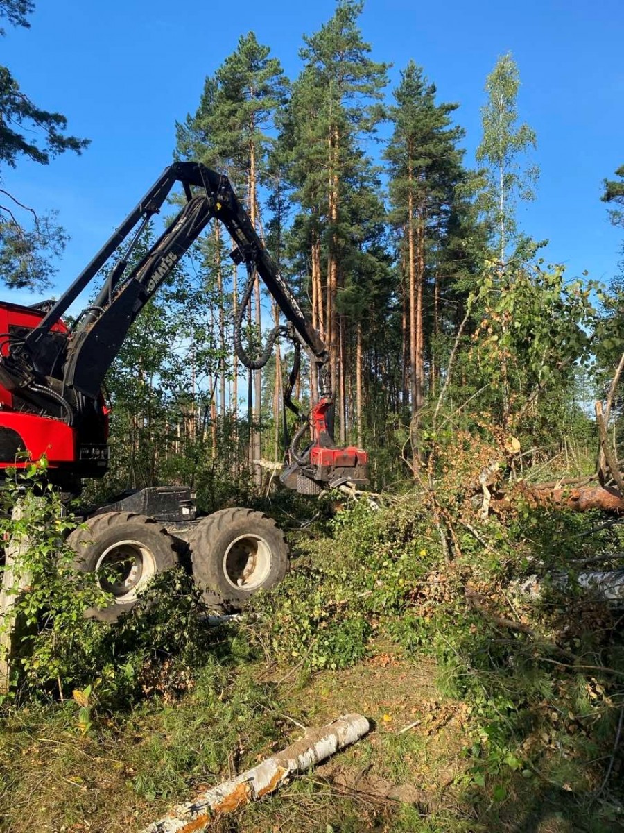 Ликвидация последствий урагана в Гомельской области.